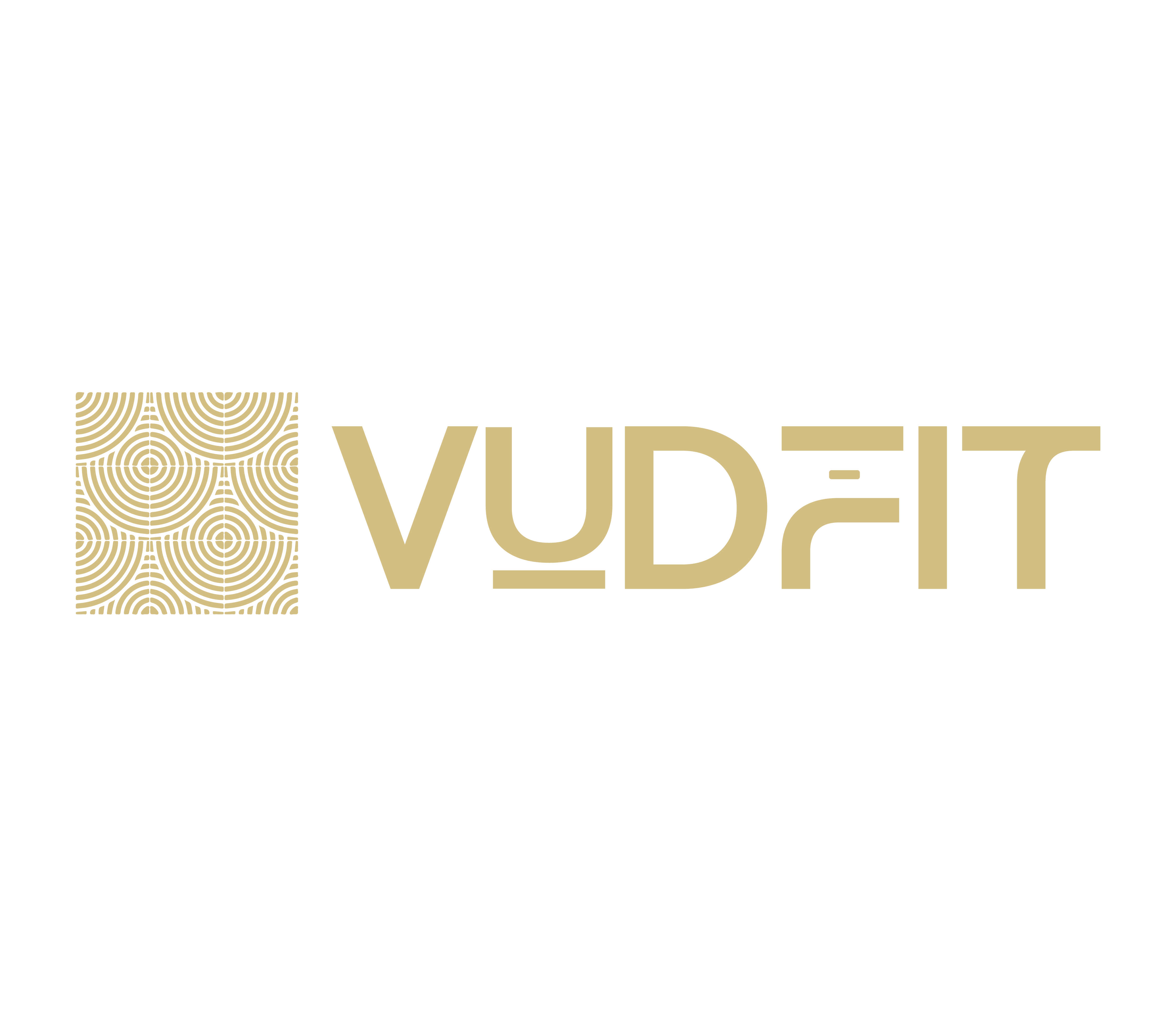 VUDFIT